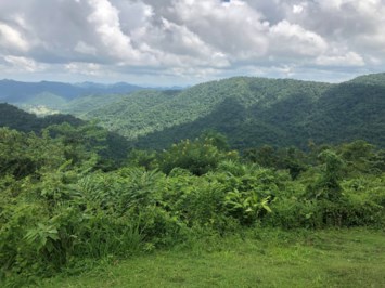 Obituario de Alice Huynh