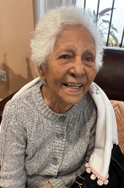 Obituary of Ligia Meza