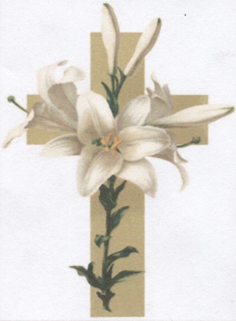 Obituary of Harry Bilek Paulson Jr.