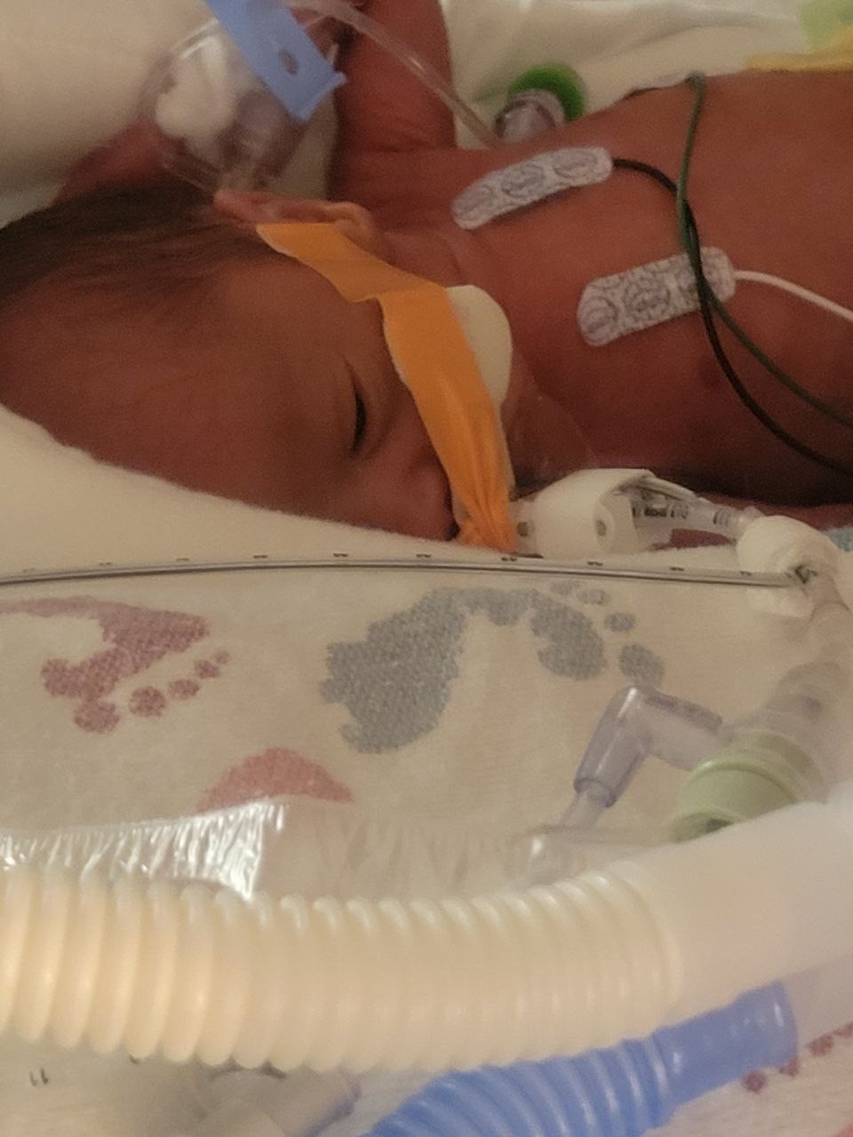 Obituary of Cayden Daniel  Beard