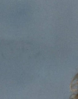 Amelia Moreno Obituary San Antonio, TX