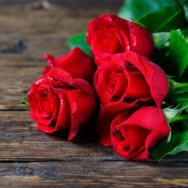 Obituary of Esperanza Rodriguez Chavez