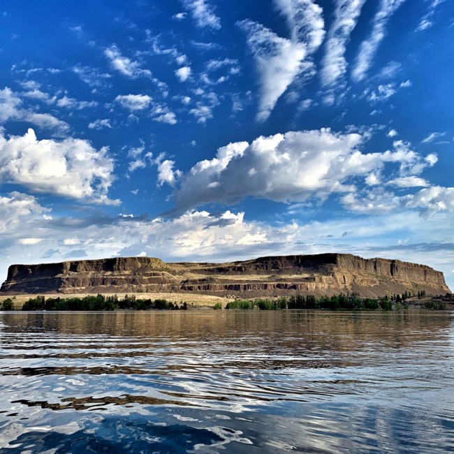 Obituary of Kathy Ann Neal