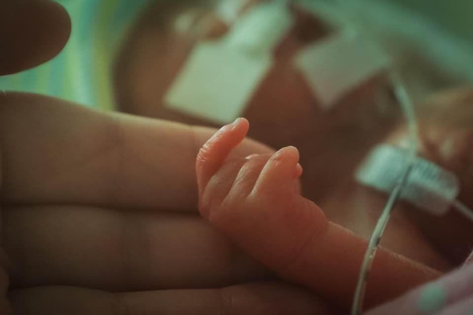 Obituary of Amelia Claire Doe-Rios