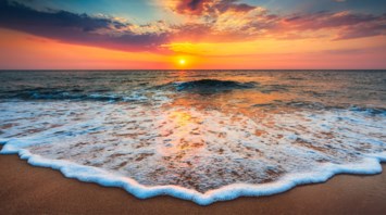 Obituary of Mark J Stewart