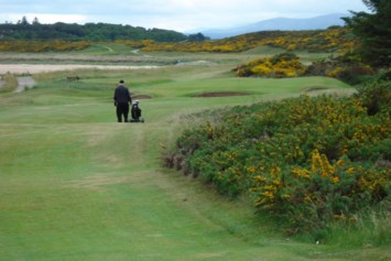 Obituary of Jerry McElroy