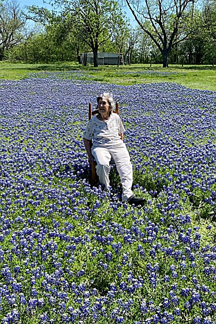 Obituary of Albina Georgia Kerlin