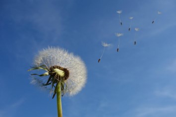 Obituary of Daniel Dean Coborn