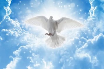 Obituary of Jose Rodolfo Pena