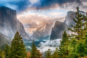 Obituary of Valerie Marie Ball