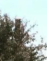 Randy Ramey, Obituary - Springfield, IL