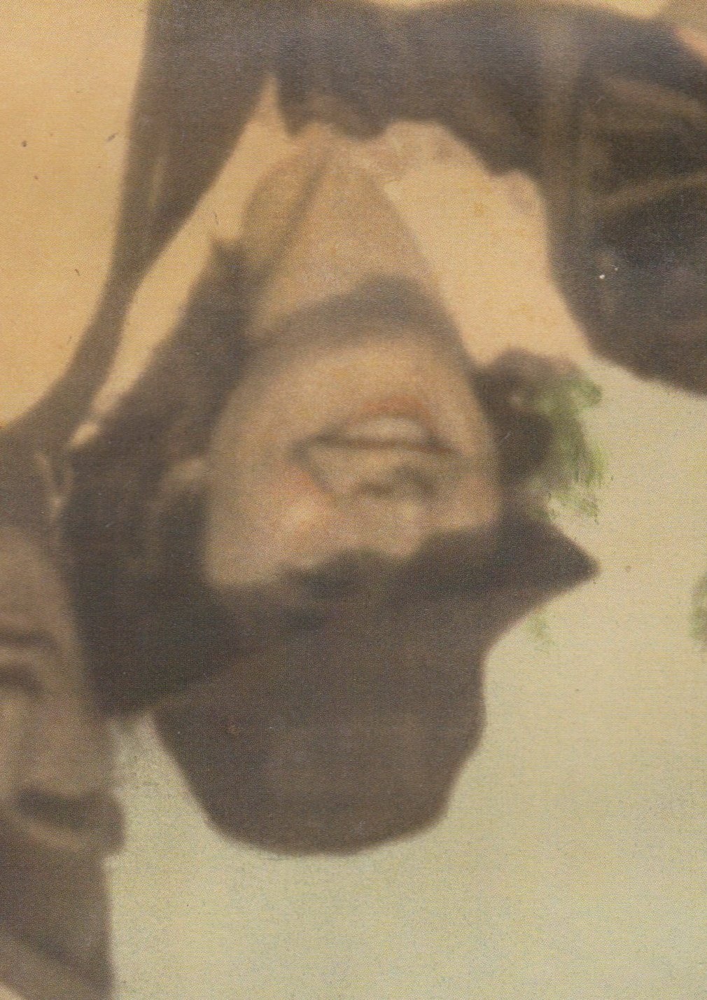 Obituary of Mary Cecelia Jackson