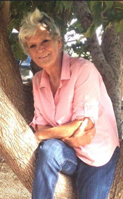 Obituary of Debra Jo Smith