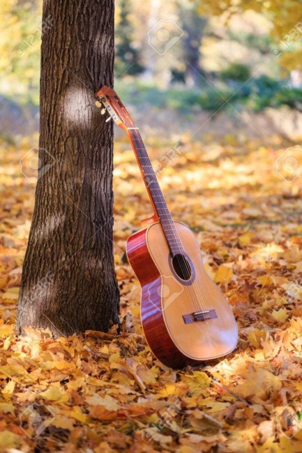 Obituary of Garry Brian Stein