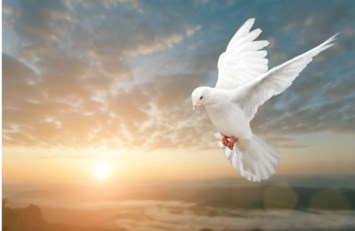 Avis de décès de Ramon A Arzuaga