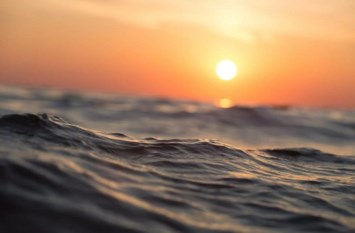 Obituary of Dominick Sansone