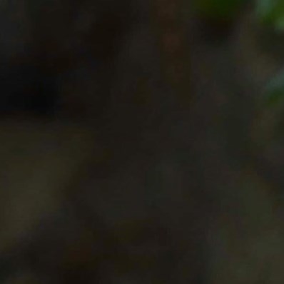 Edwin Clarence Raminha Jr. Obituary - Atascadero, CA