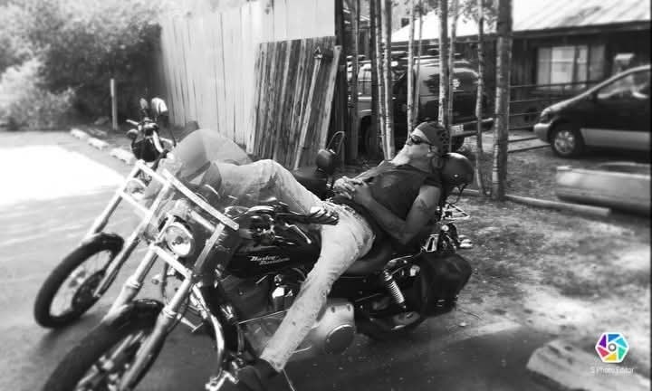 Obituary of William Everett Sheppard