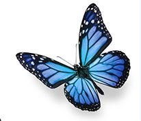 Obituary of Donna Lee Sailee