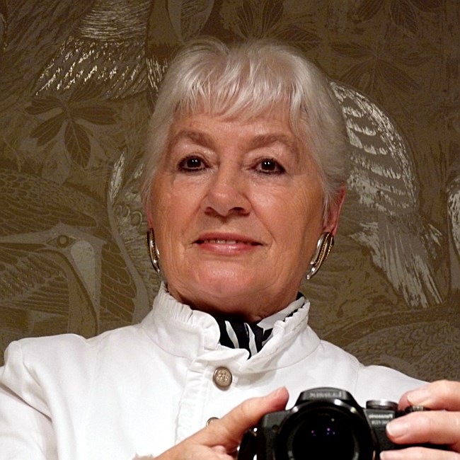 Obituary of Shirley Ann (Smith) Stallard