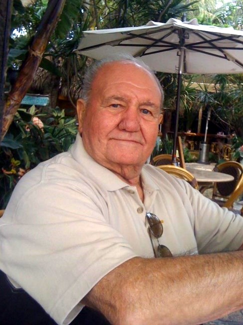 Obituary of Domenick J. Velardo Sr.