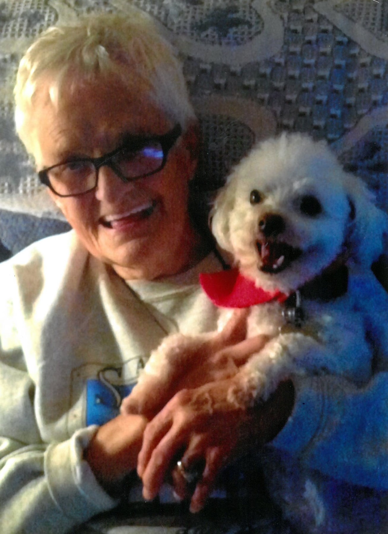 Heartbreaking But Hopeful Lethbridge Herald Obituaries - zqlr7gh