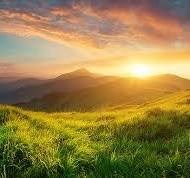 Obituary of Joyce Rae Beachem