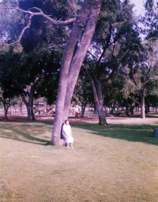 Obituary of Yuan Zhao Wang