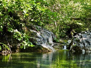 Obituary of Robert W. Sayers