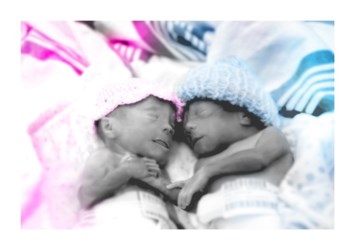 Obituary of Gavin Schmidt