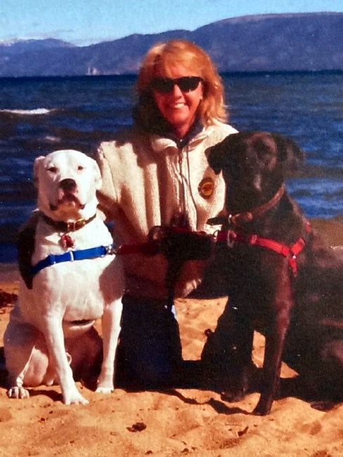 Obituary of Lisa Ranae McClung