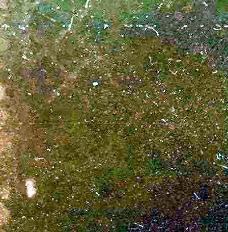 Ignacio Suarez Obituary Houston, TX