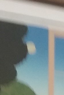 Shirley Nordin Decker Obituary St Paul MN shirley-nordin-decker-obituary-st-paul-mn