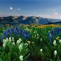 Obituary of John Patrick McDonough