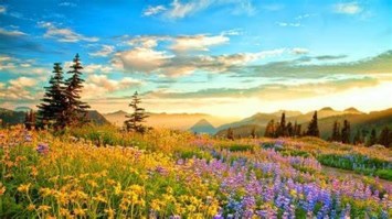 Obituary of April Karrell Brewer