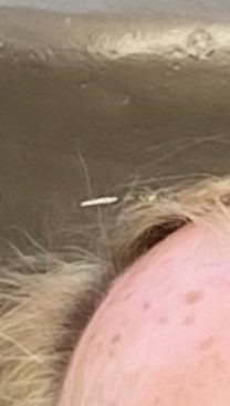 James Rushing Obituary - Southport, NC