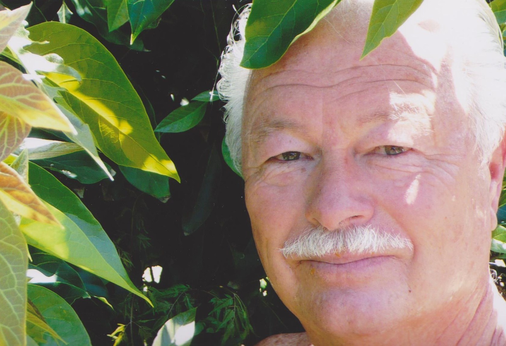 Wallace Den Herder Obituary - San Diego, CA