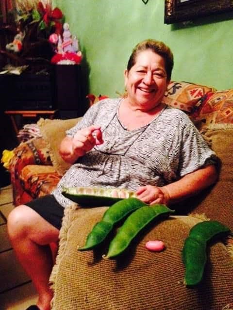 Obituario de Carmen Luz Cruz Diaz