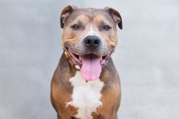 Obituary of Robert Dykstra