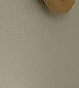 Giovanni Rappa Obituary - Sarasota, FL