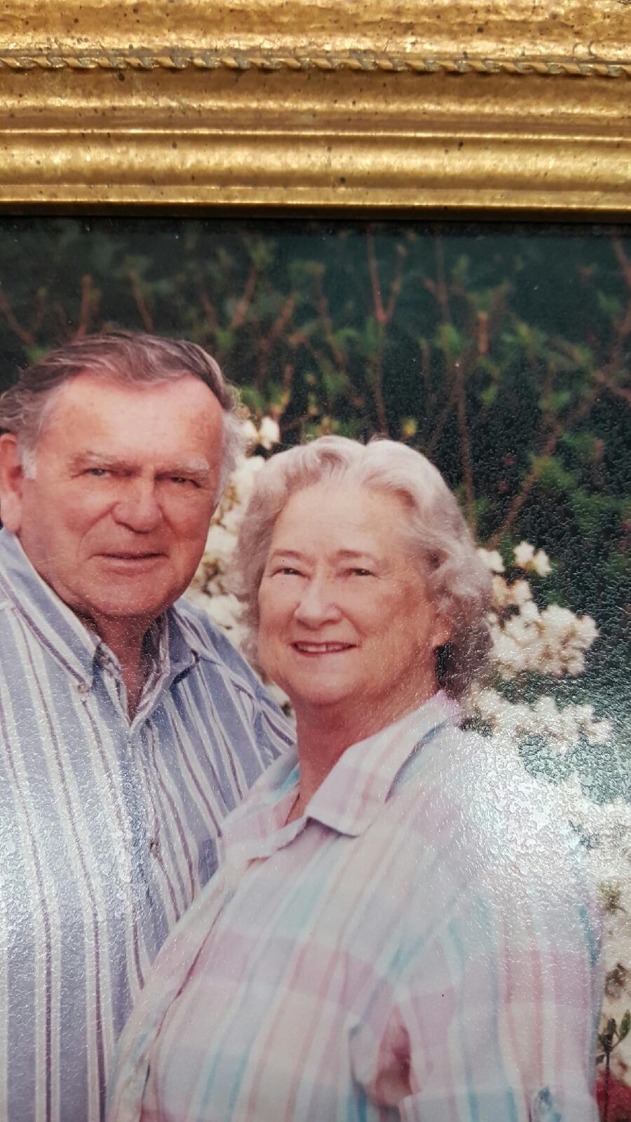 Obituary of Rebecca J. Cloyes