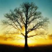 Obituary of Irving M Beckerman