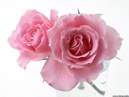 Obituario de Lena Hilliard