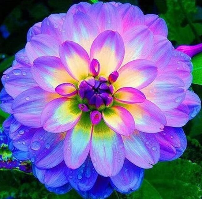 Obituary of June Evelyn Blazek