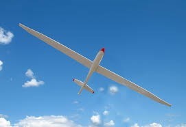 Obituary of Frank Ray Wood