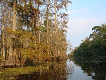 Obituary of Billie "Bill" Delaney