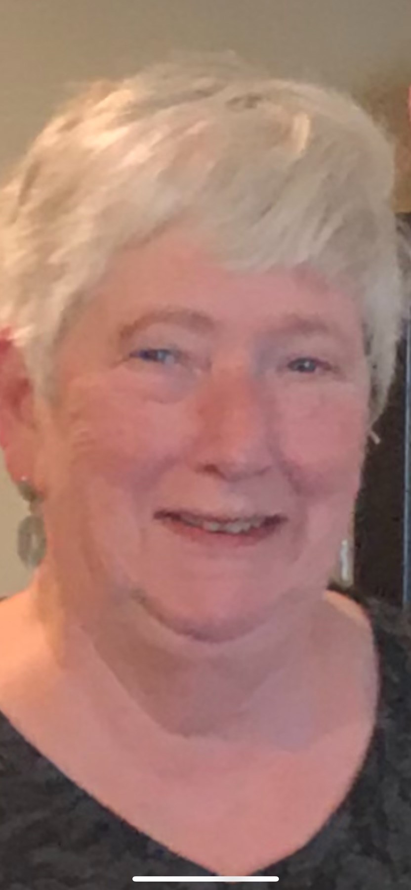 Sheila Waldeck Obituary Oak Lawn, IL