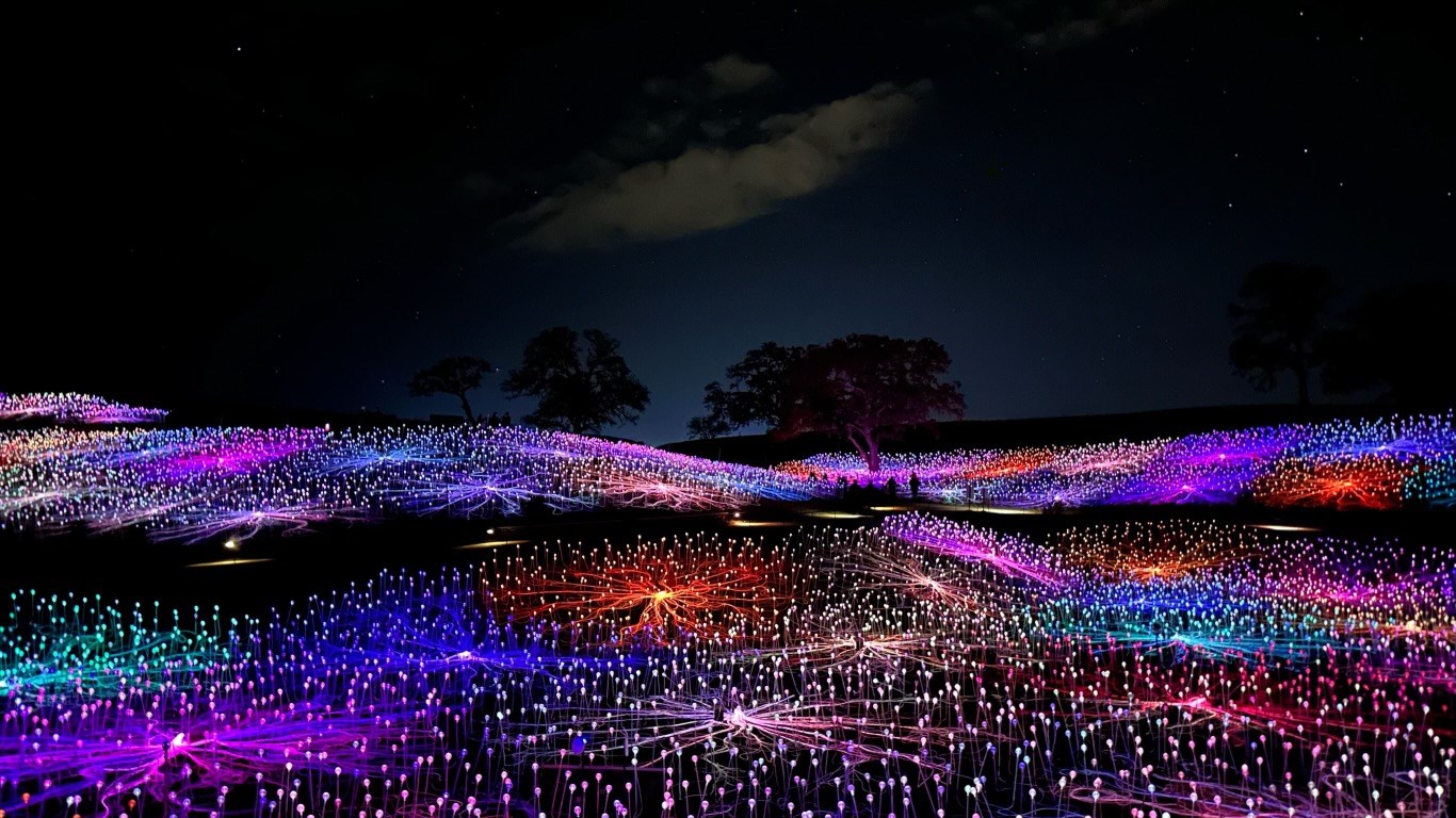 Evan Faylice Rachel Brown Obituary Laguna Woods, CA