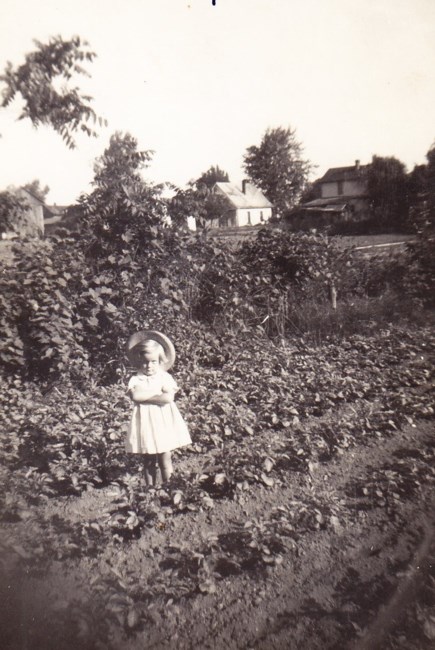 Obituary of Mrs. Carol Jane Wolf