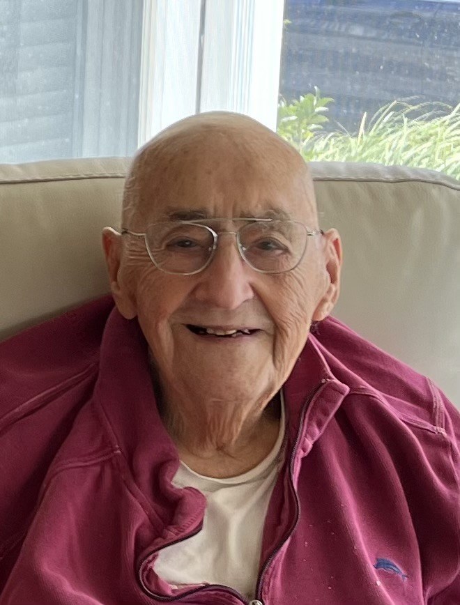 Obituario de Louis S Napoli